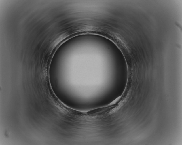 X0000097631073200802291334