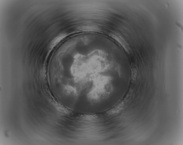 X0000097631074200802291334