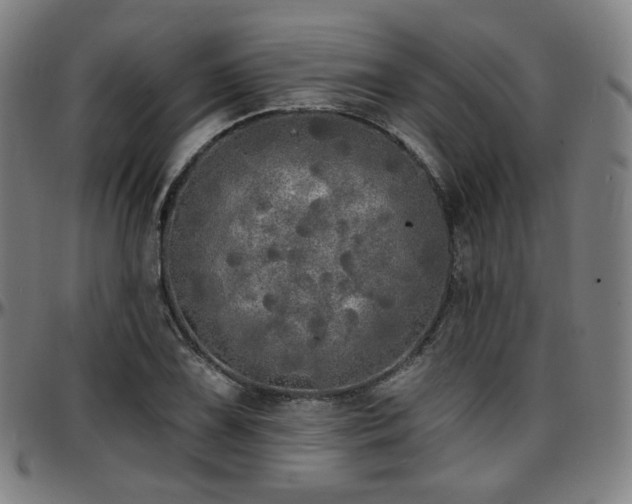 X0000097631075200802291334