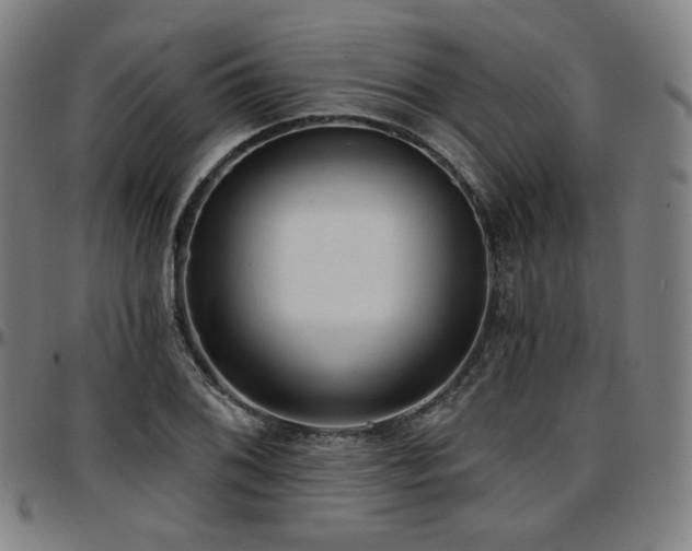 X0000097631076200802291334