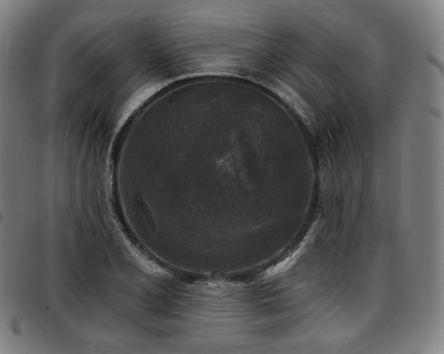 X0000097631077200802291334