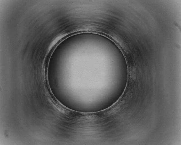 X0000097631078200802291334