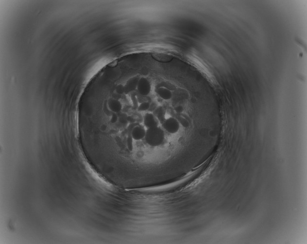 X0000097631079200802291334