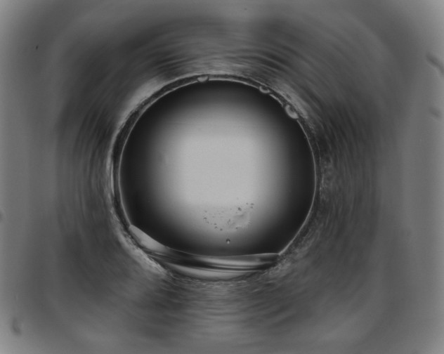 X0000097631080200802291334