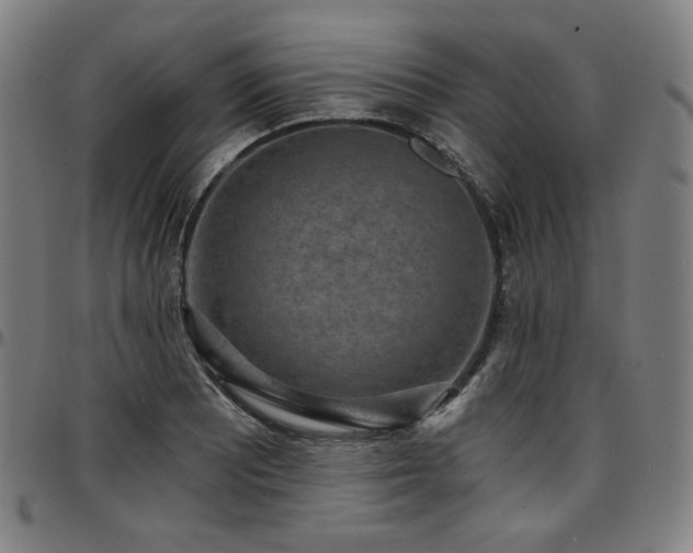 X0000097631081200802291334