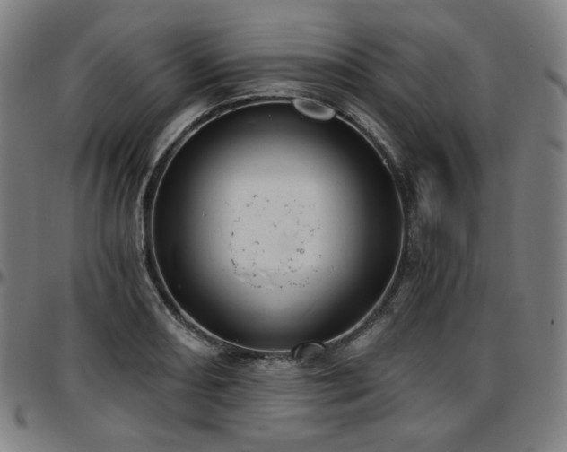 X0000097631082200802291334
