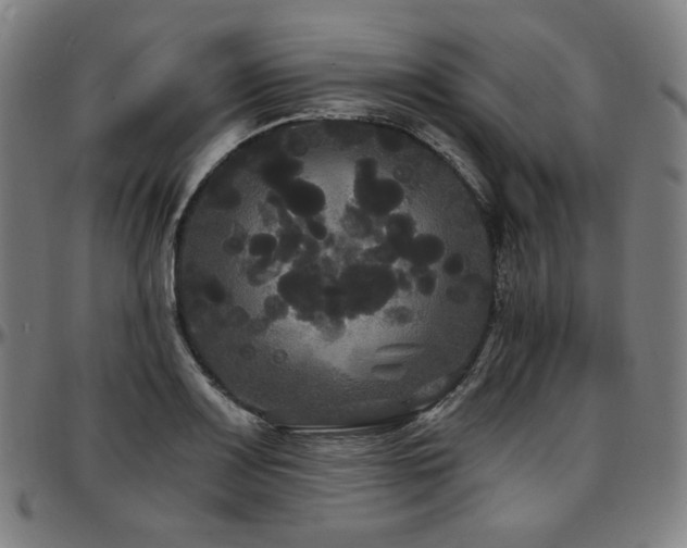X0000097631083200802291334