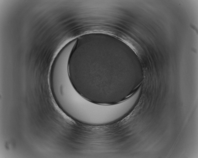 X0000097631084200802291334