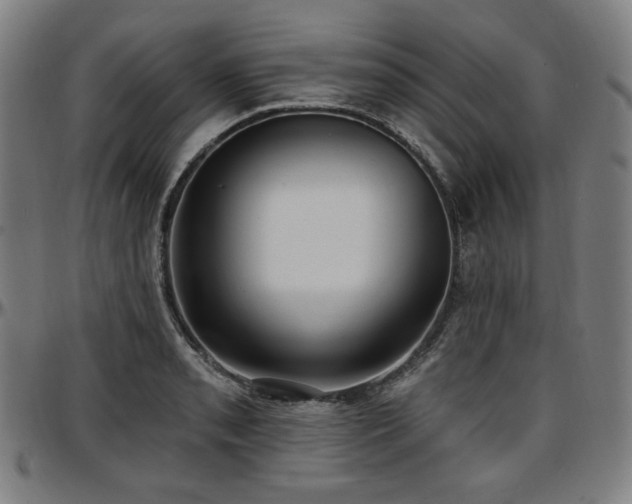 X0000097631085200802291334