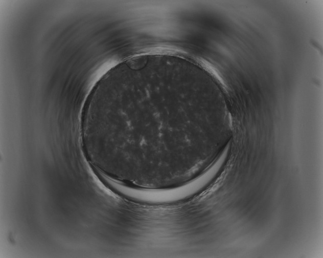 X0000097631087200802291334