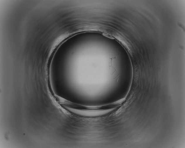 X0000097631088200802291334