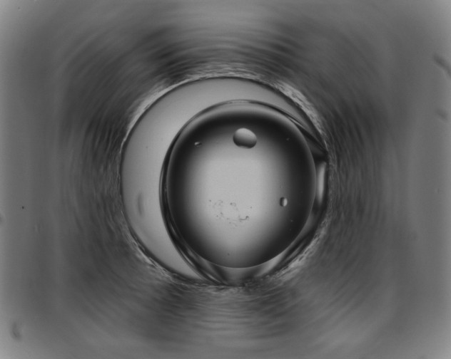 X0000097631089200802291334