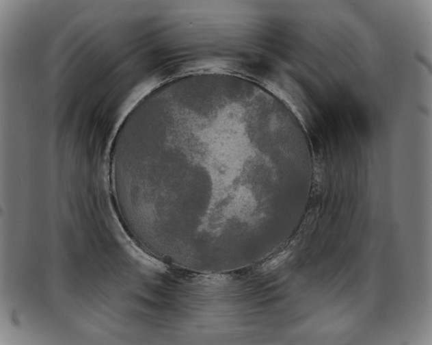 X0000097631090200802291334