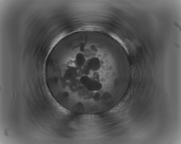 X0000097631091200802291334