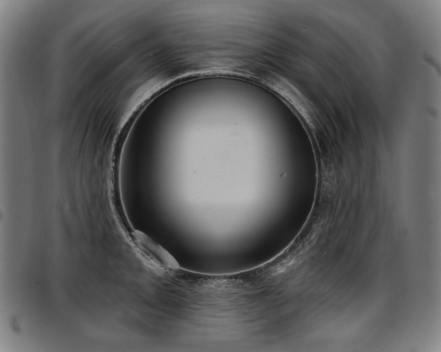 X0000097631093200802291334