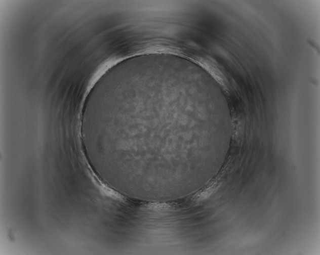 X0000097631094200802291334