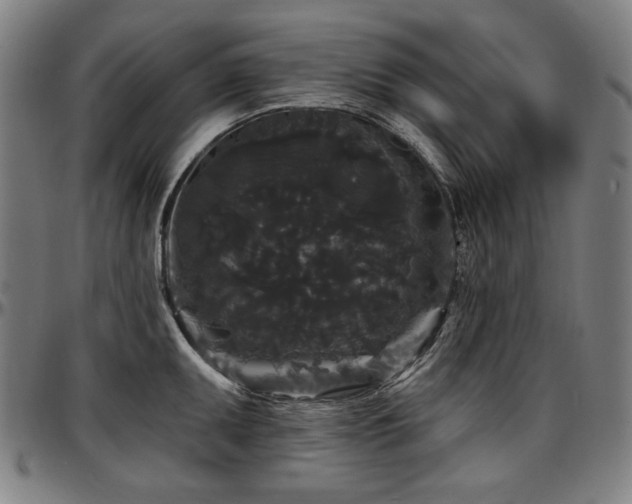 X0000097631095200802291334