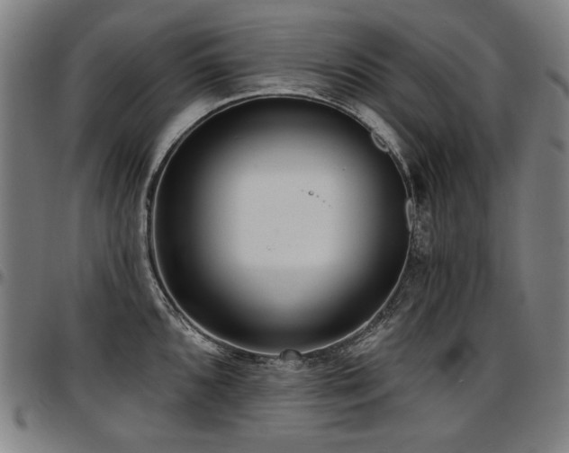 X0000097631096200802291334