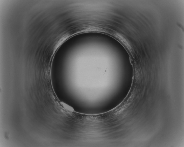X0000097631097200802291334