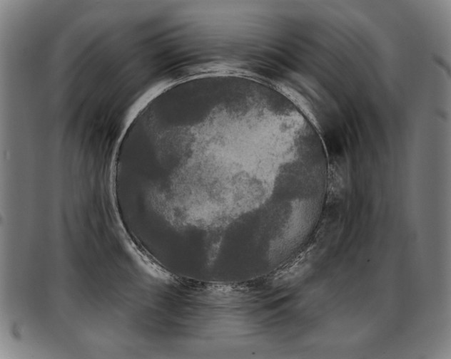 X0000097631098200802291334