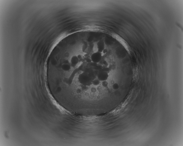 X0000097631099200802291334