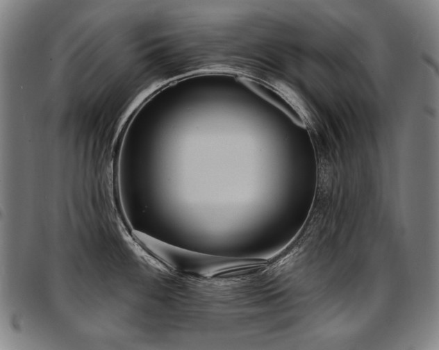X0000097631100200802291334