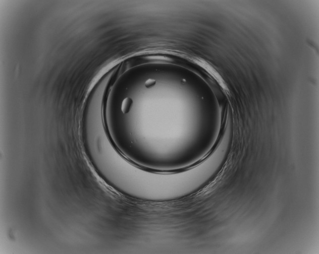 X0000097631101200802291334