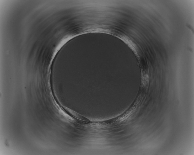 X0000097631102200802291334
