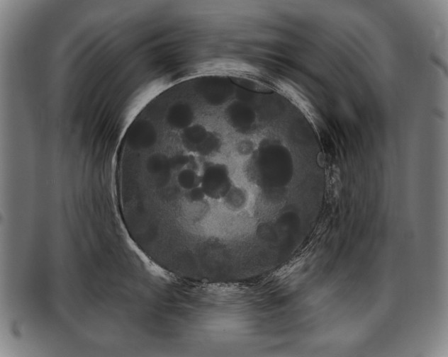 X0000097631103200802291334