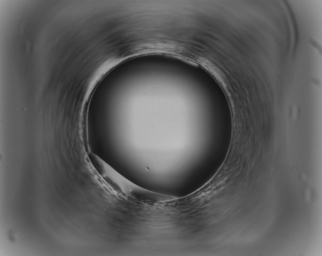 X0000097631104200802291334