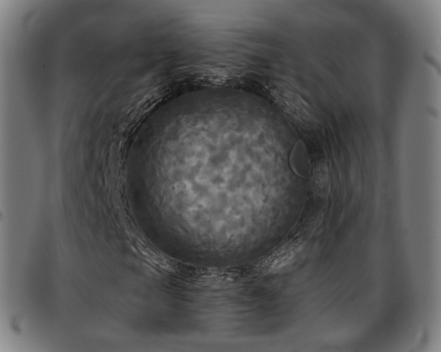 X0000097631105200802291333
