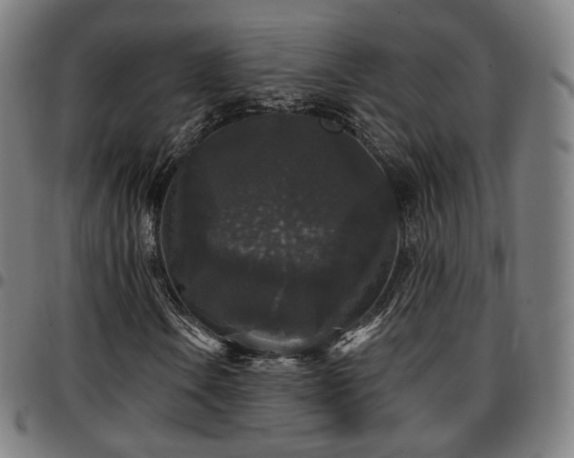 X0000097631106200802291333