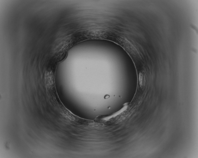 X0000097631107200802291333