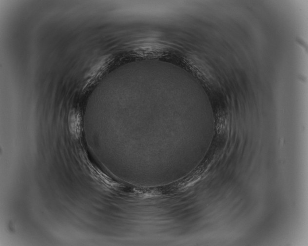 X0000097631108200802291333