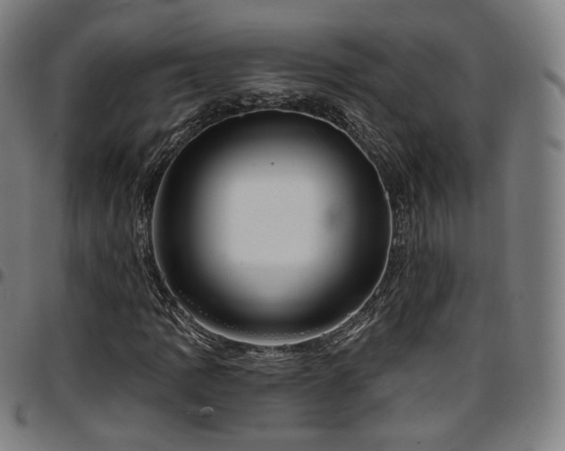 X0000097631109200802291333