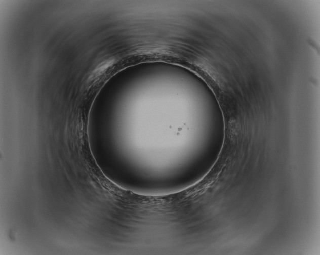X0000097631111200802291333