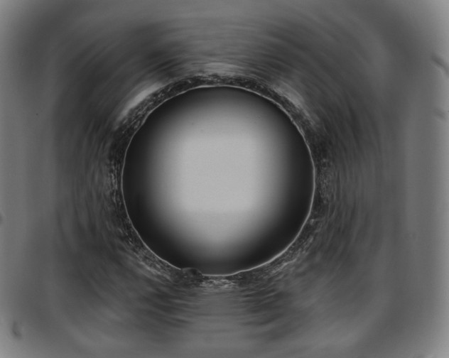 X0000097631112200802291333