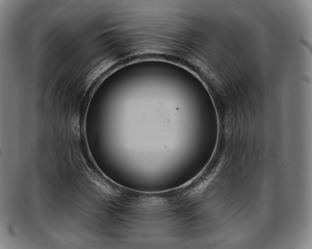 X0000097631113200802291333