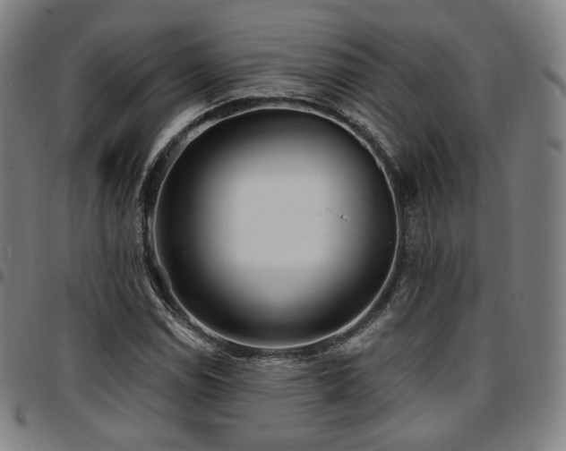 X0000097631114200802291333