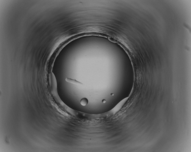 X0000097631116200802291333