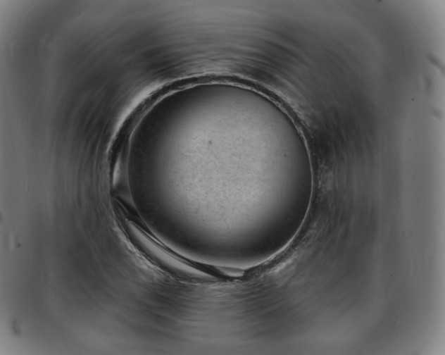 X0000097631118200802291333