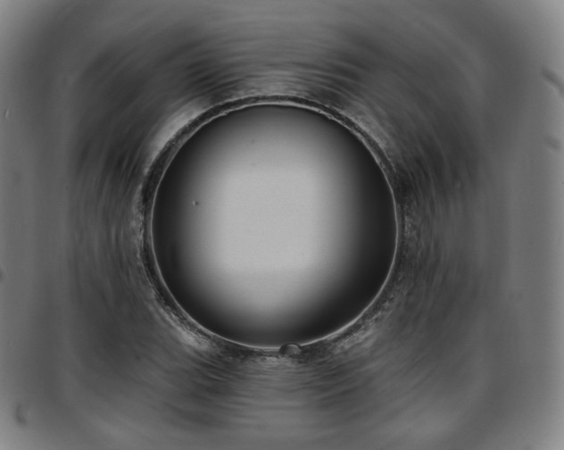 X0000097631119200802291334