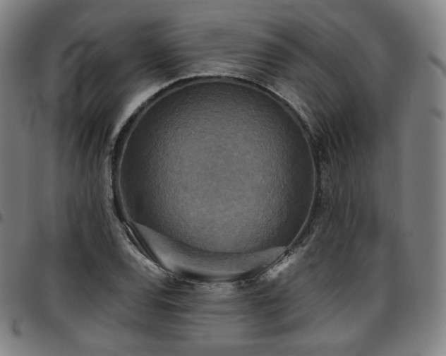 X0000097631120200802291334