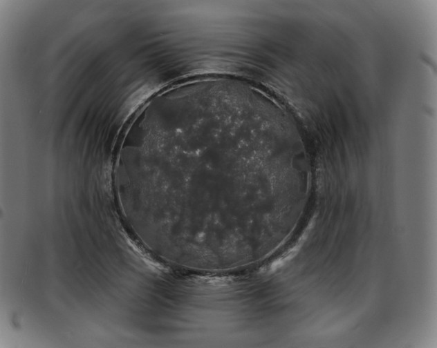 X0000097631121200802291334
