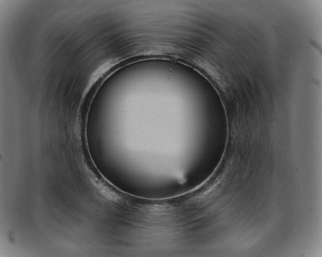 X0000097631122200802291334