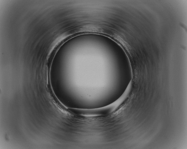 X0000097631123200802291334