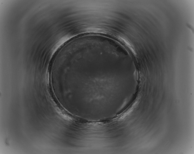 X0000097631125200802291334