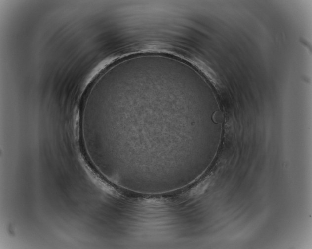 X0000097631126200802291334