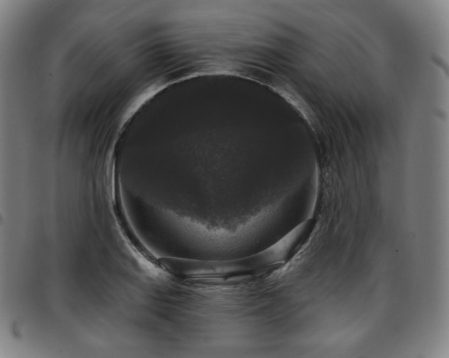 X0000097631127200802291334