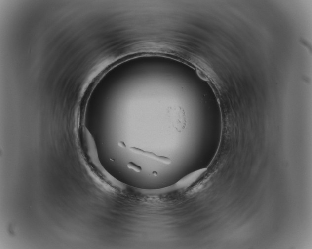 X0000097631128200802291334